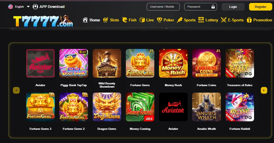 T77777 Game interface
