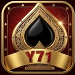 Y71 Game