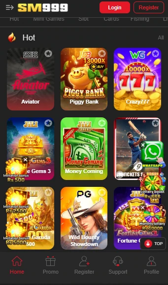 SM999 Game