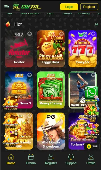 CW773 Game interface