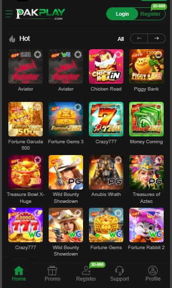 PAK PLAY Game Interface